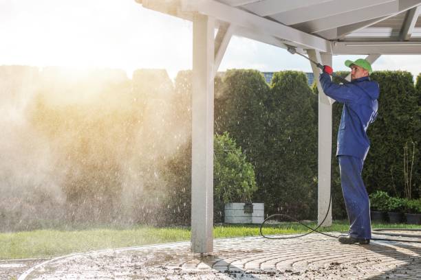 Best Graffiti Removal  in Lauderhill, FL