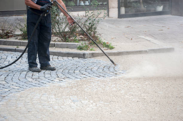 Animal Enclosure Cleaning in Lauderhill, FL